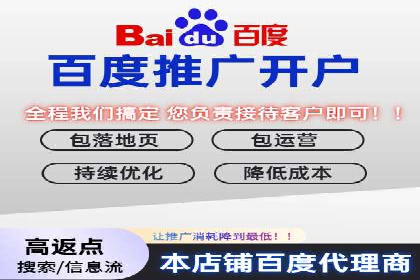 百度包年竞价策略优化：提高投资回报率